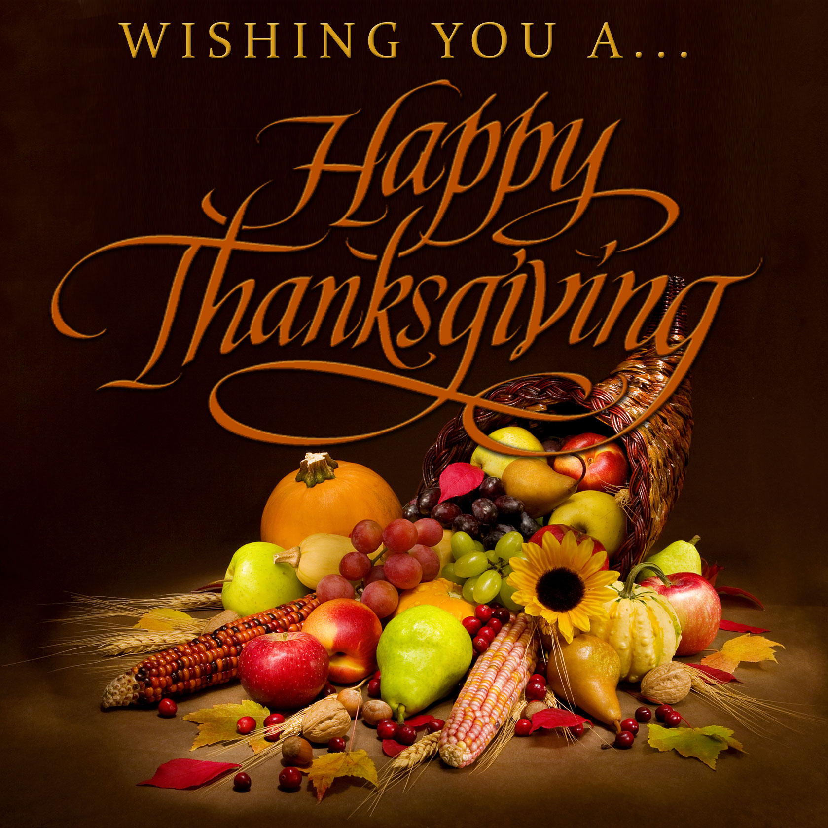 wishing you a happy thanksgiving